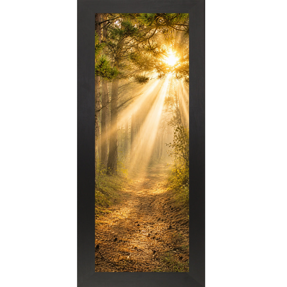 Forest Light Path Wall Art – Narrow Portrait Divine Sunlight Pine Decor (SB948)