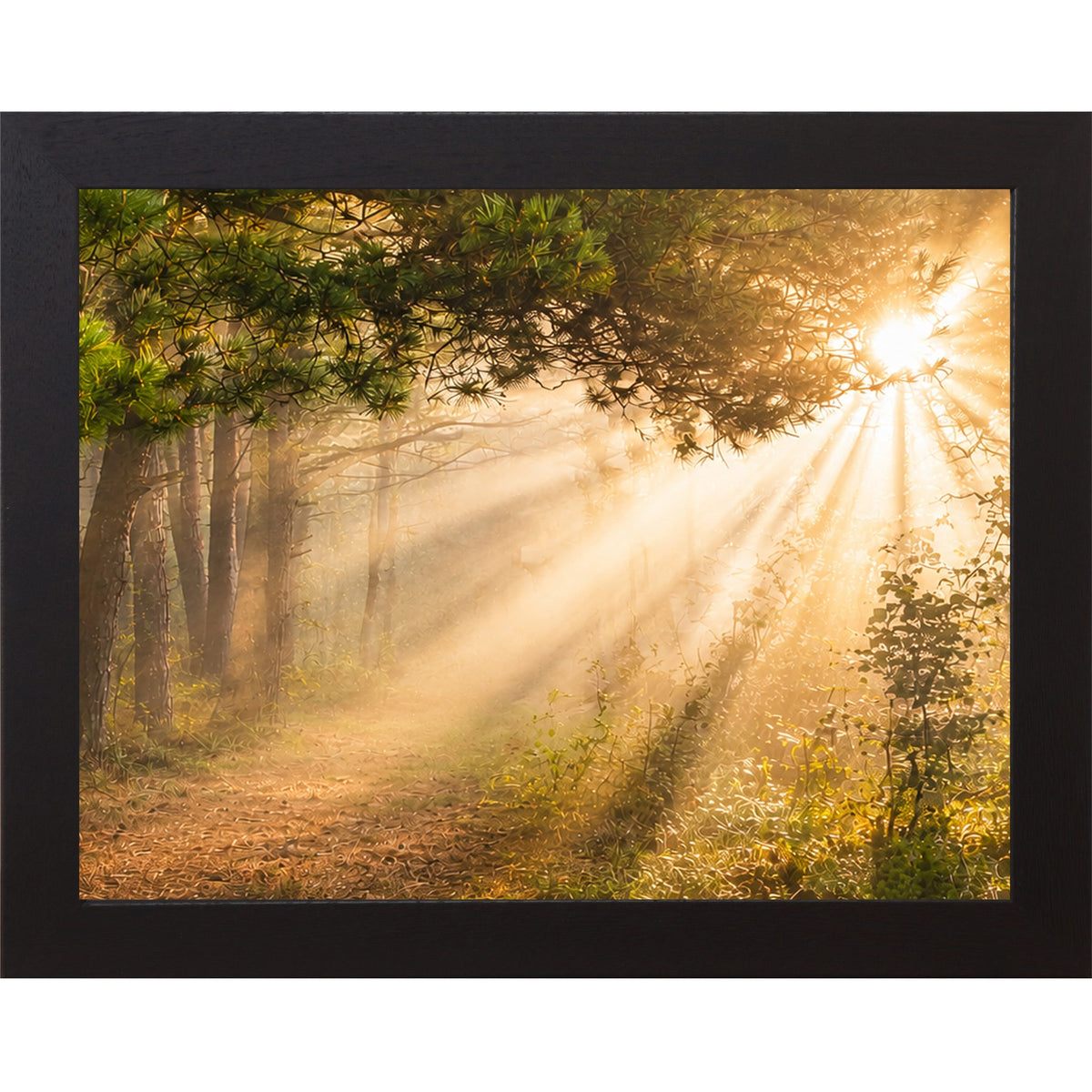 Forest Light Rays Wall Art – Misty Pine Sunlight Path Sympathy Nature Decor (SB244)