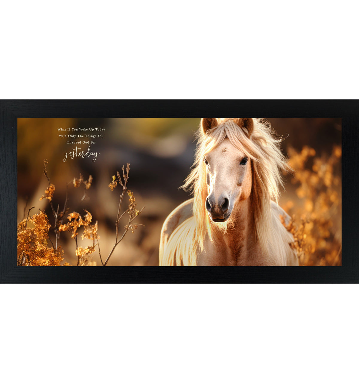 What If You Woke Up Today Wall Art – Palomino Horse Gratitude Inspirational Decor (ZS106)