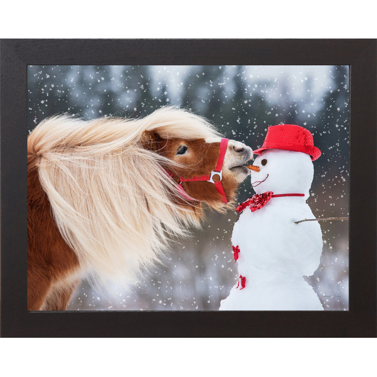 Can't Resist Wall Art – Haflinger Pony Snowman Christmas Humor Equine Framed Decor (SN338)