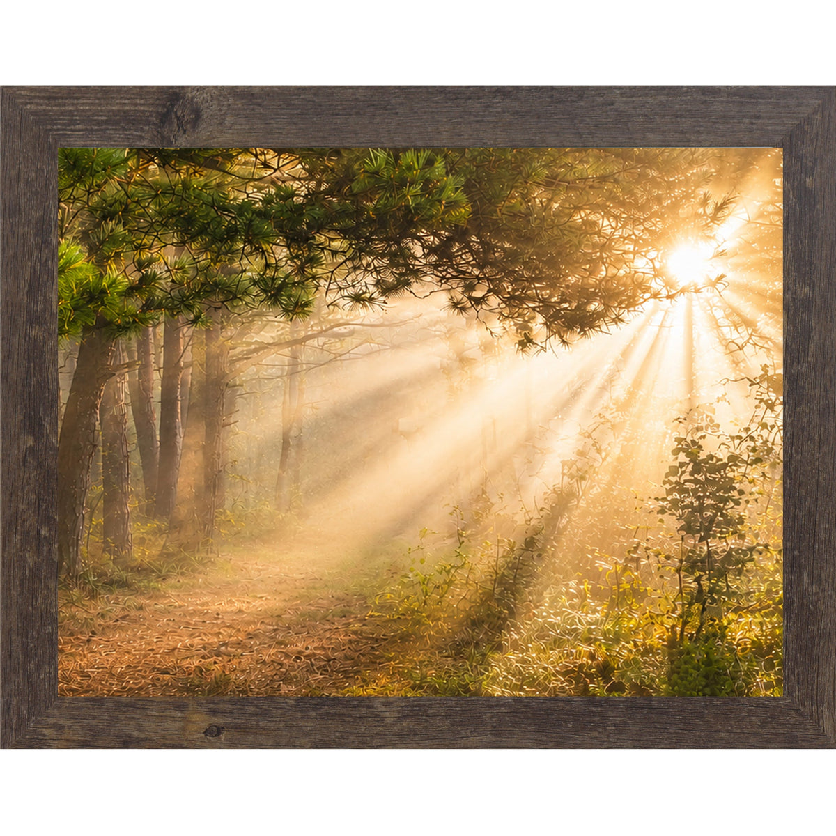 Forest Light Rays Wall Art – Misty Pine Sunlight Path Sympathy Nature Decor (SB244)