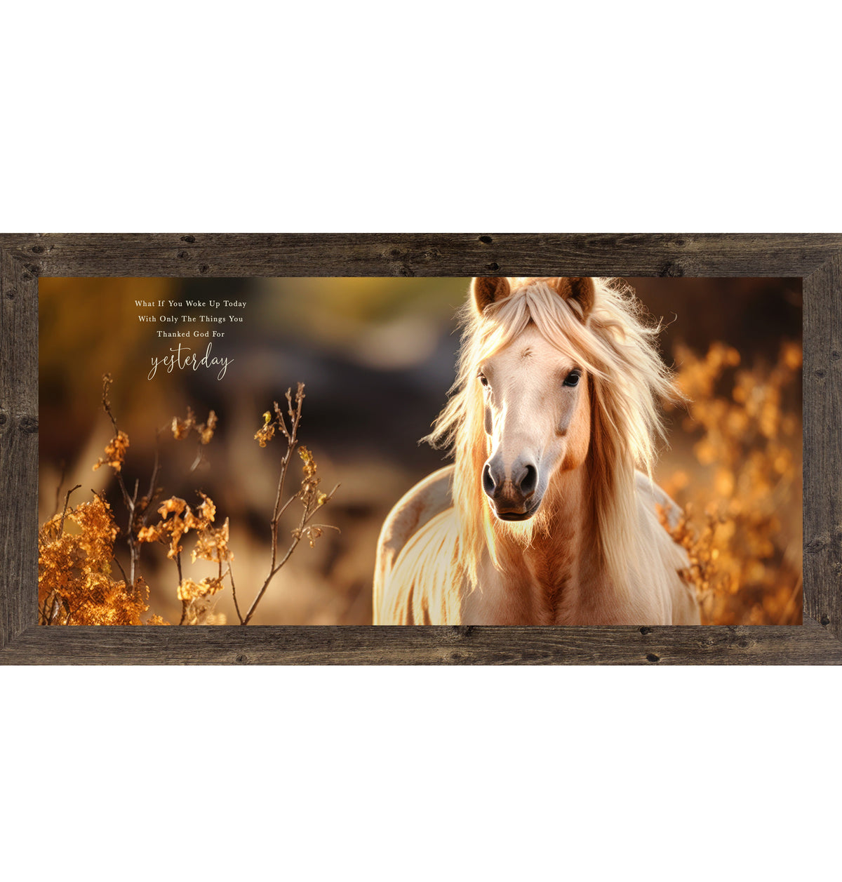 What If You Woke Up Today Wall Art – Palomino Horse Gratitude Inspirational Decor (ZS106)