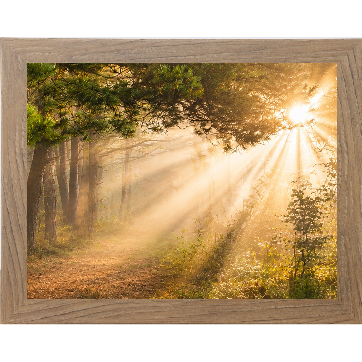 Forest Light Rays Wall Art – Misty Pine Sunlight Path Sympathy Nature Decor (SB244)