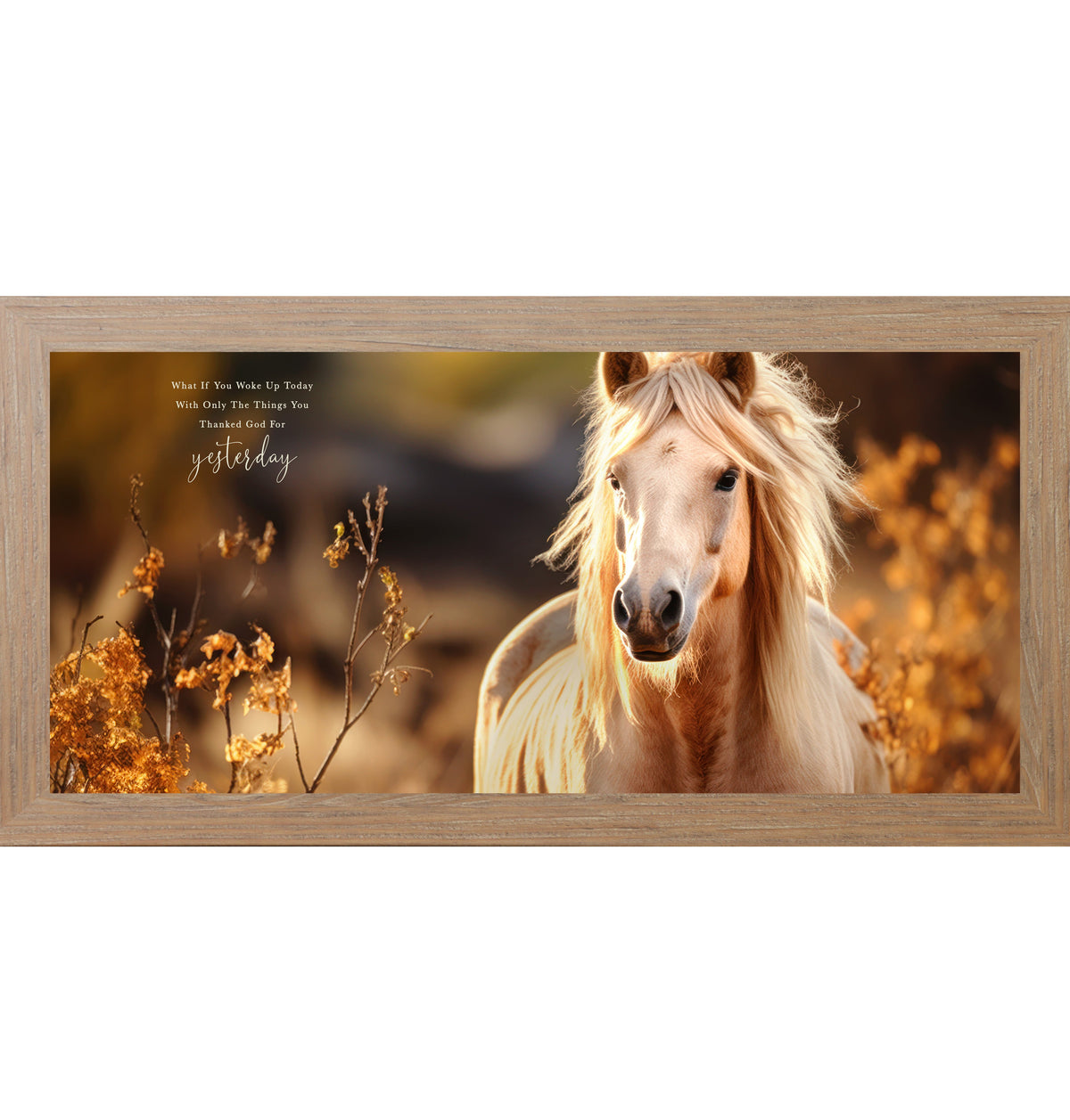 What If You Woke Up Today Wall Art – Palomino Horse Gratitude Inspirational Decor (ZS106)