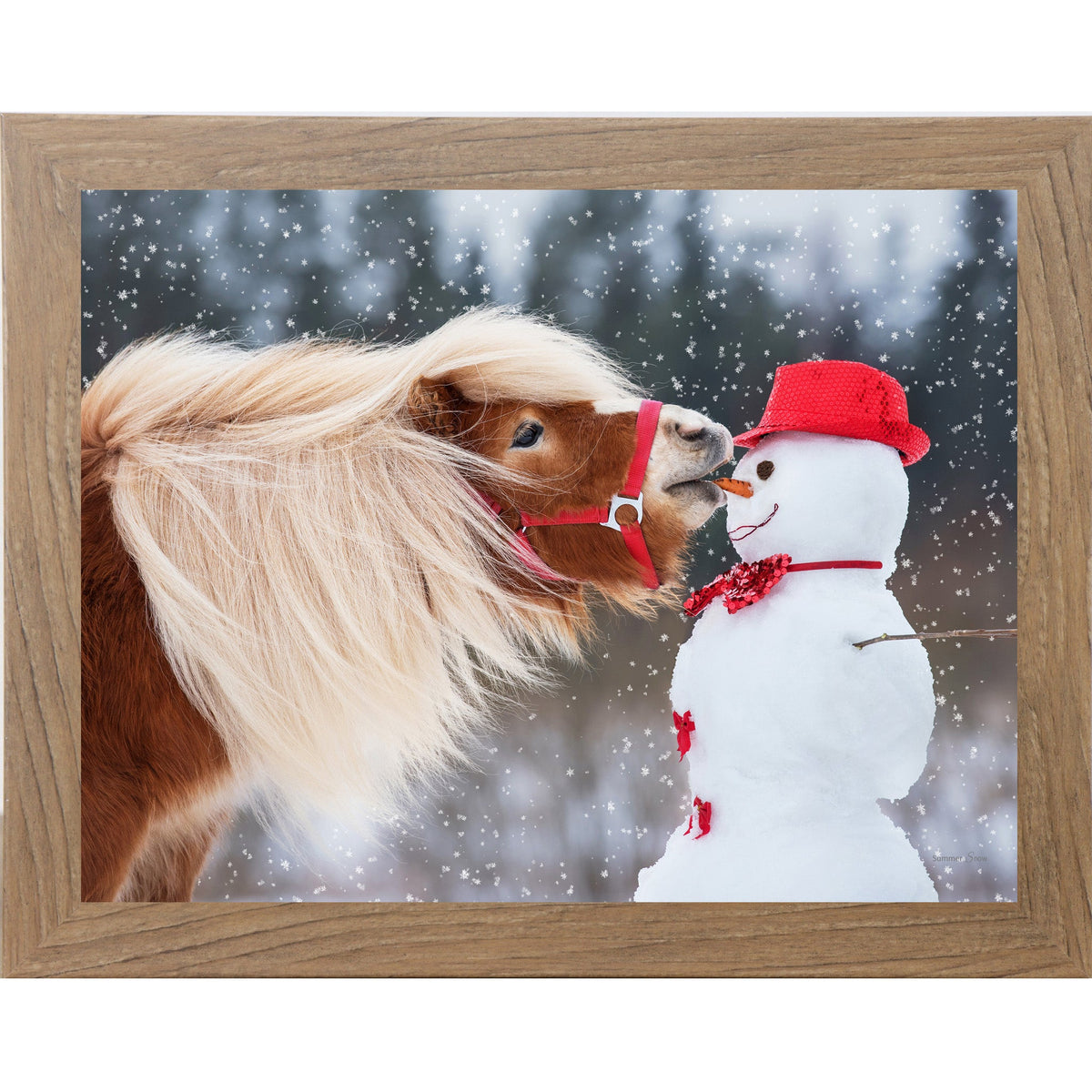 Can't Resist Wall Art – Haflinger Pony Snowman Christmas Humor Equine Framed Decor (SN338)