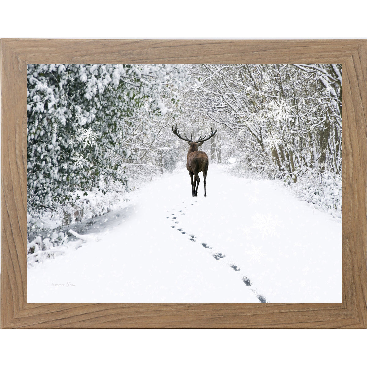 Snow Tracks Wall Art – Winter Stag In The Woods Landscape (SA426)