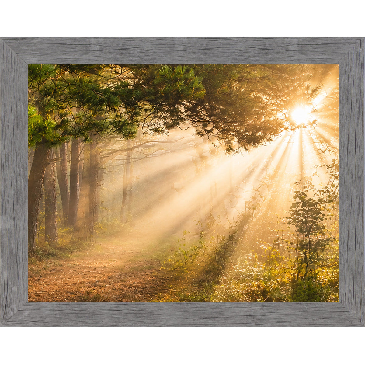 Forest Light Rays Wall Art – Misty Pine Sunlight Path Sympathy Nature Decor (SB244)
