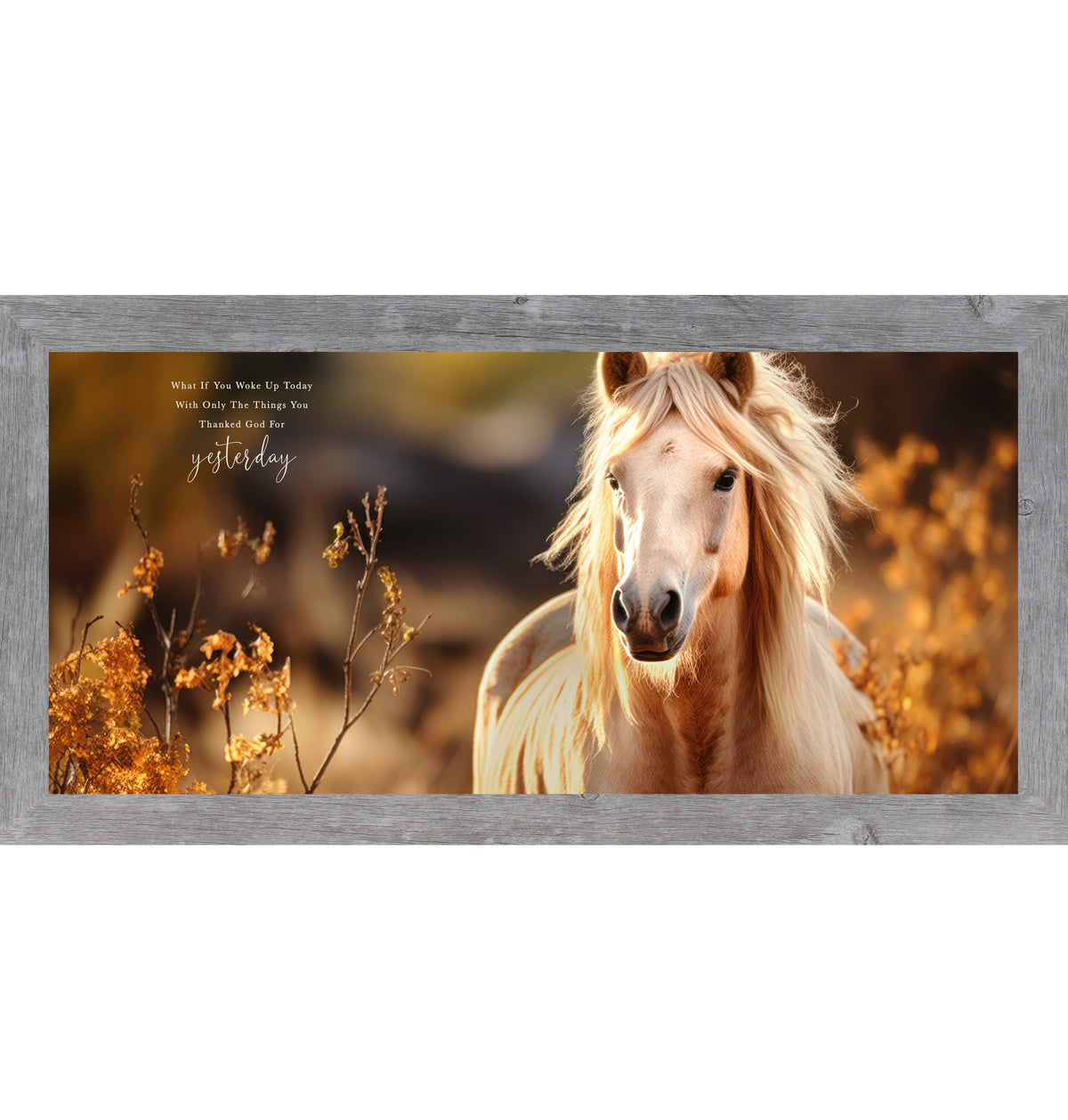 What If You Woke Up Today Wall Art – Palomino Horse Gratitude Inspirational Decor (ZS106)