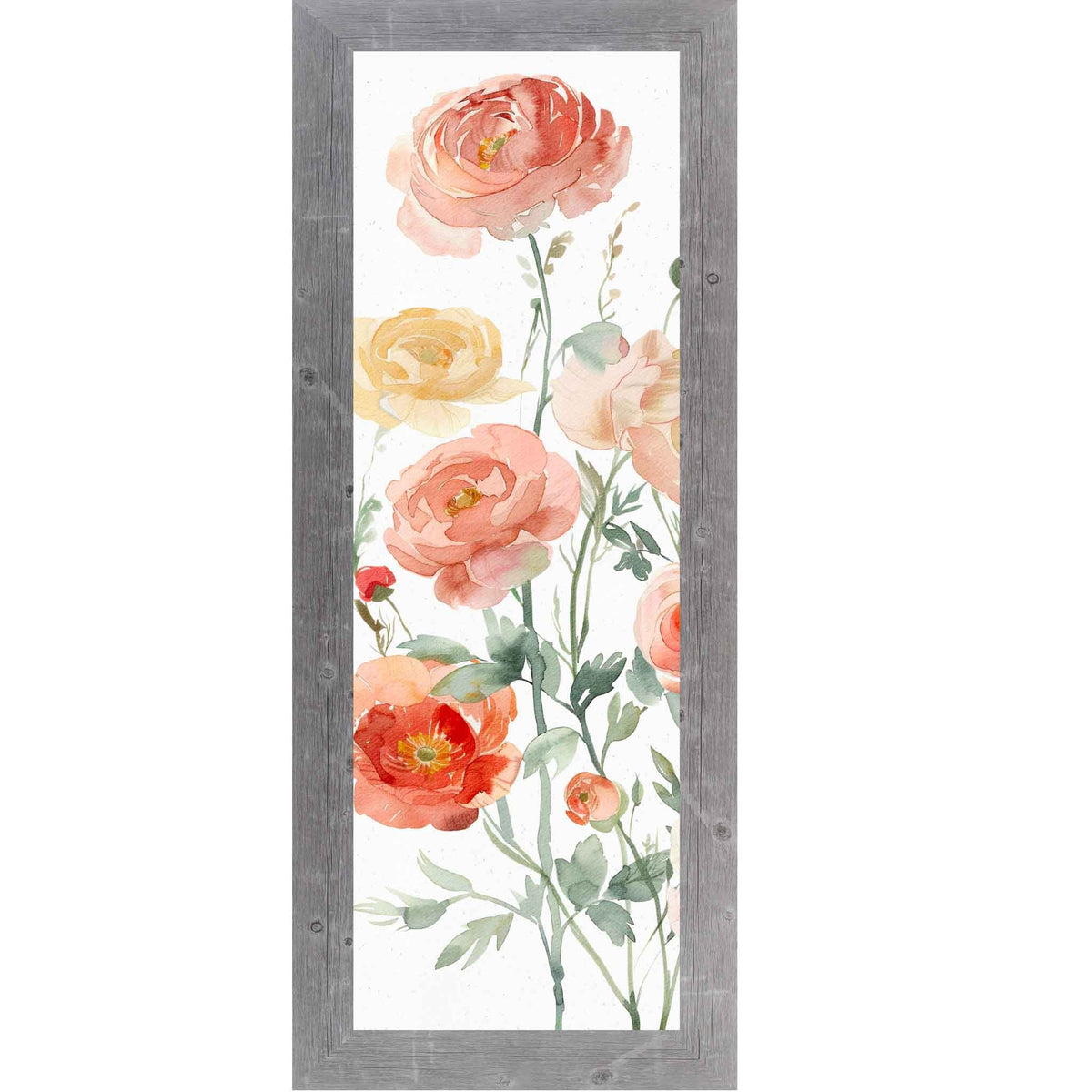 Blush Ranunculus Garden – Vertical Watercolor Floral Wall Art – Slim Botanical Framed Decor 8x20 to 14x40 (SB911)