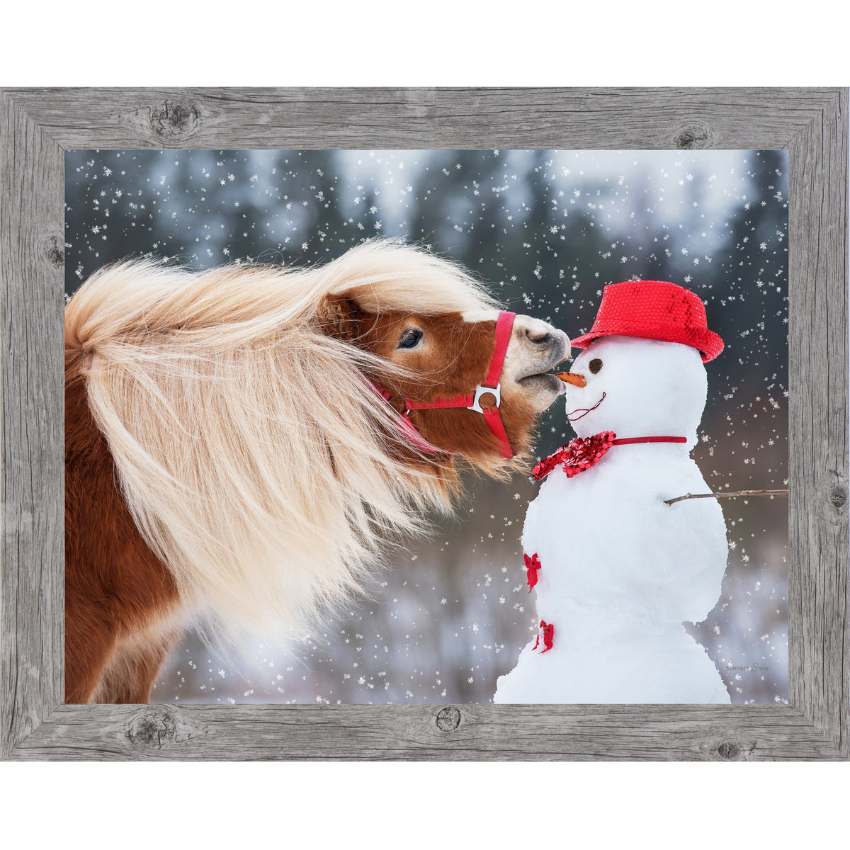 Can't Resist Wall Art – Haflinger Pony Snowman Christmas Humor Equine Framed Decor (SN338)