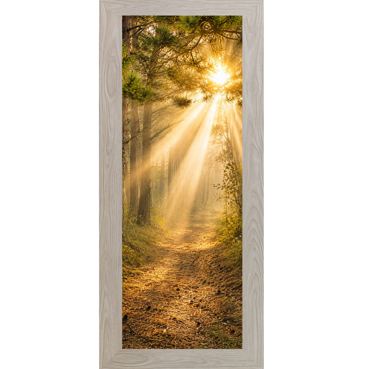 Forest Light Path Wall Art – Narrow Portrait Divine Sunlight Pine Decor (SB948)