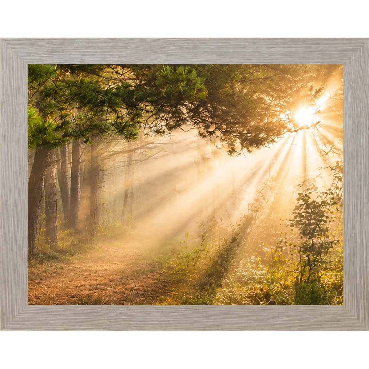 Forest Light Rays Wall Art – Misty Pine Sunlight Path Sympathy Nature Decor (SB244)