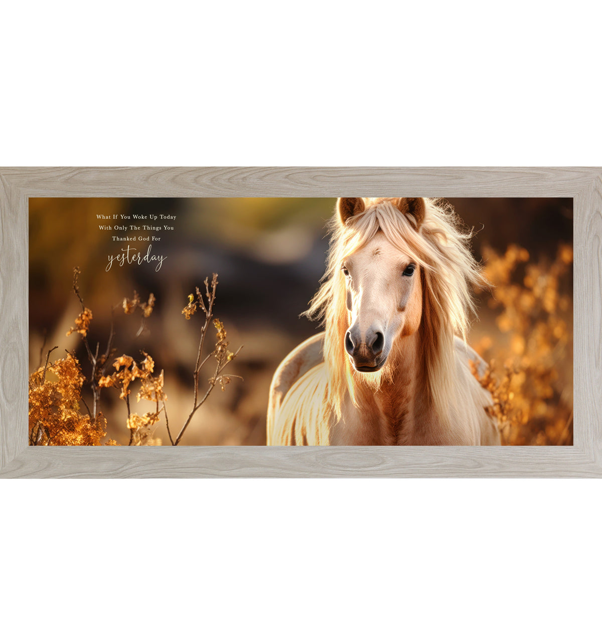 What If You Woke Up Today Wall Art – Palomino Horse Gratitude Inspirational Decor (ZS106)