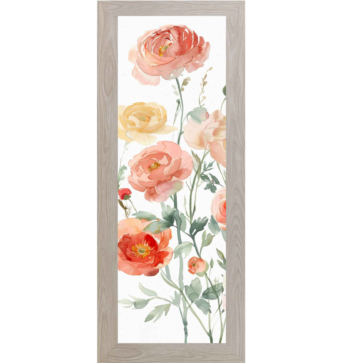 Blush Ranunculus Garden – Vertical Watercolor Floral Wall Art – Slim Botanical Framed Decor 8x20 to 14x40 (SB911)