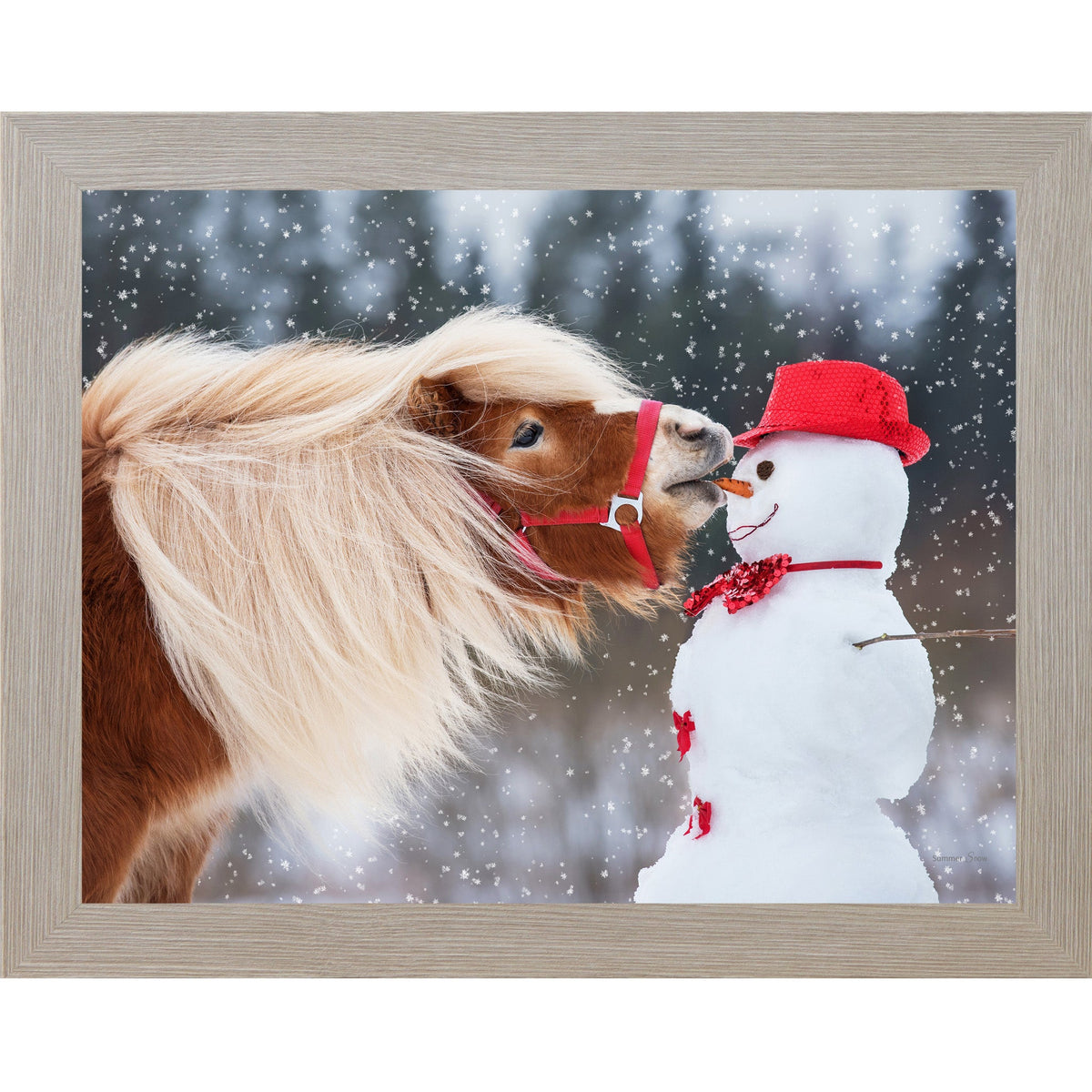 Can't Resist Wall Art – Haflinger Pony Snowman Christmas Humor Equine Framed Decor (SN338)