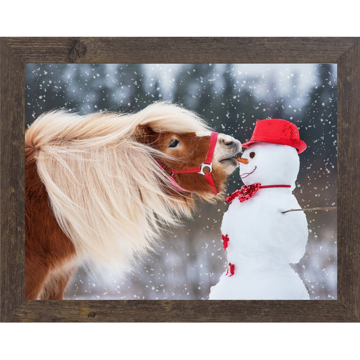 Can't Resist Wall Art – Haflinger Pony Snowman Christmas Humor Equine Framed Decor (SN338)