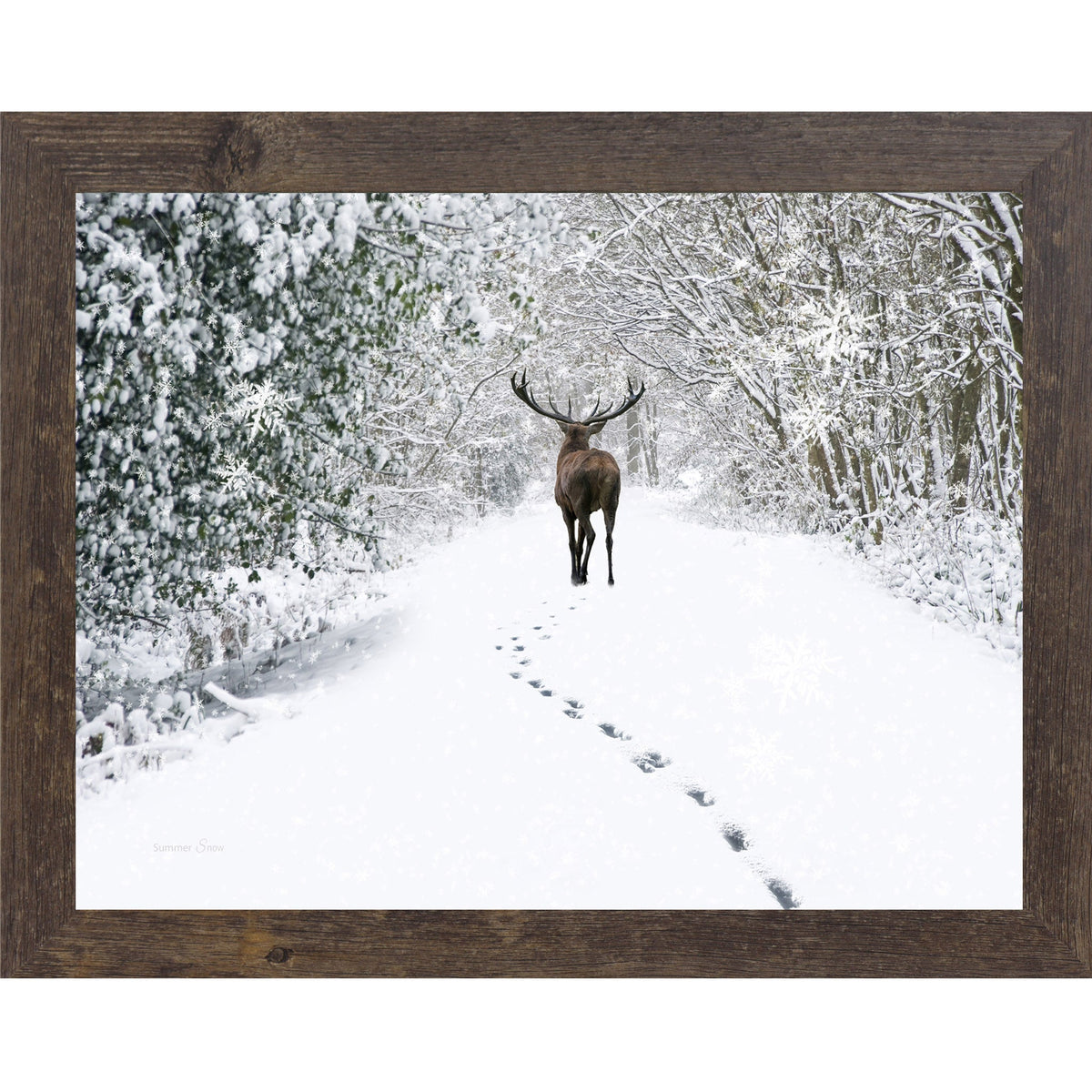 Snow Tracks Wall Art – Winter Stag In The Woods Landscape (SA426)