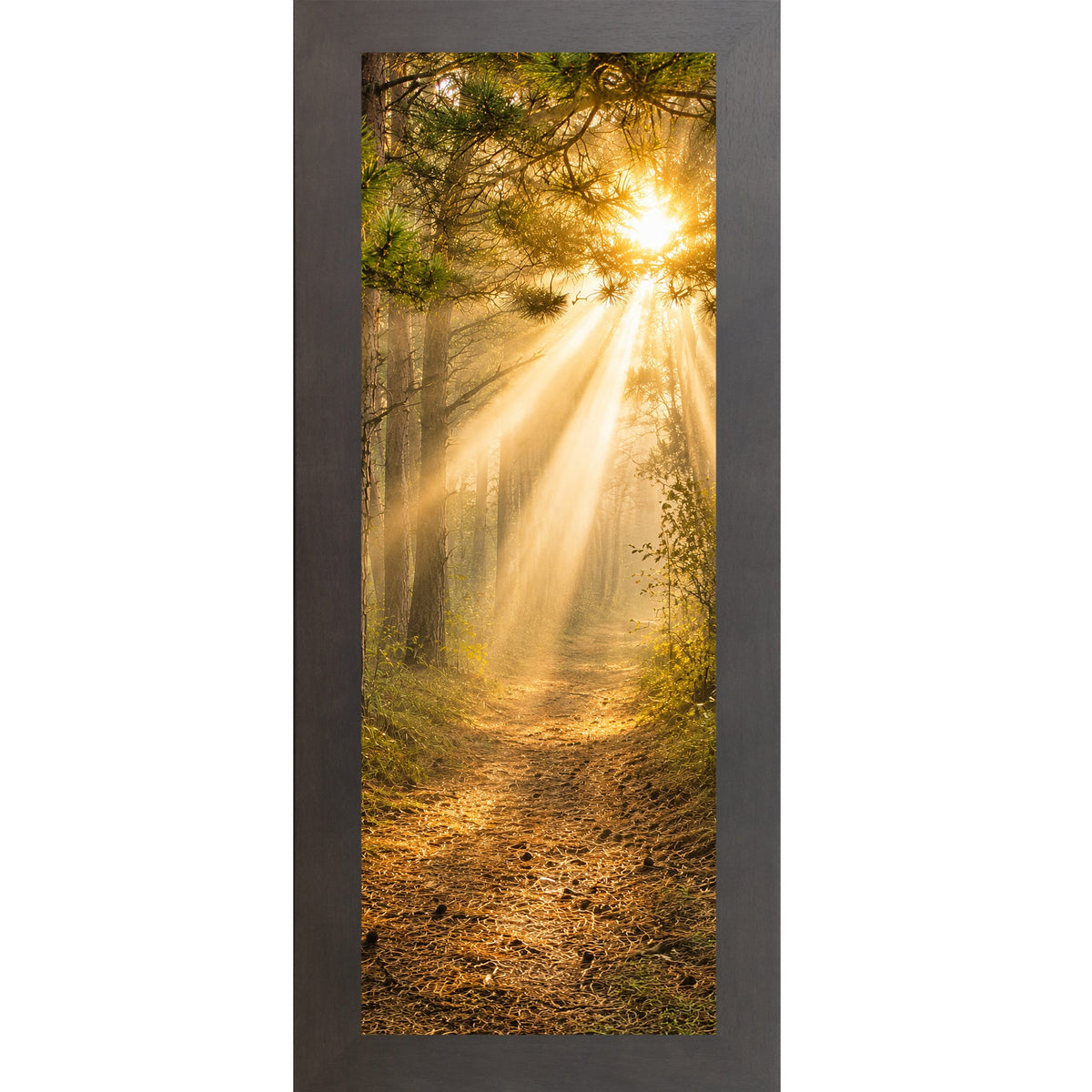 Forest Light Path Wall Art – Narrow Portrait Divine Sunlight Pine Decor (SB948)