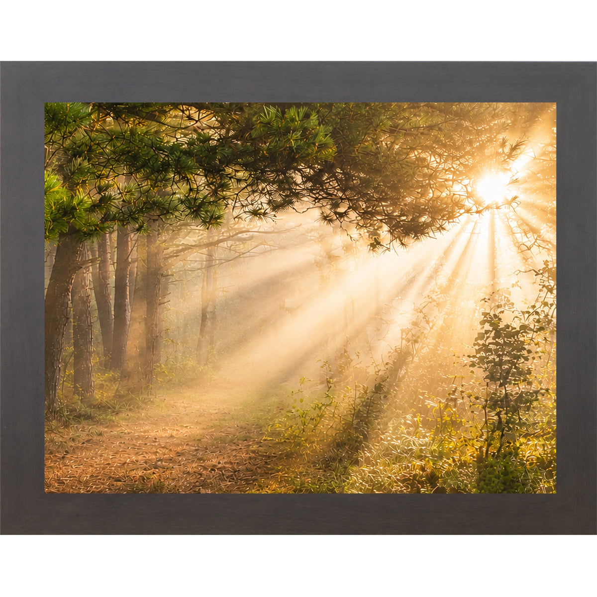 Forest Light Rays Wall Art – Misty Pine Sunlight Path Sympathy Nature Decor (SB244)