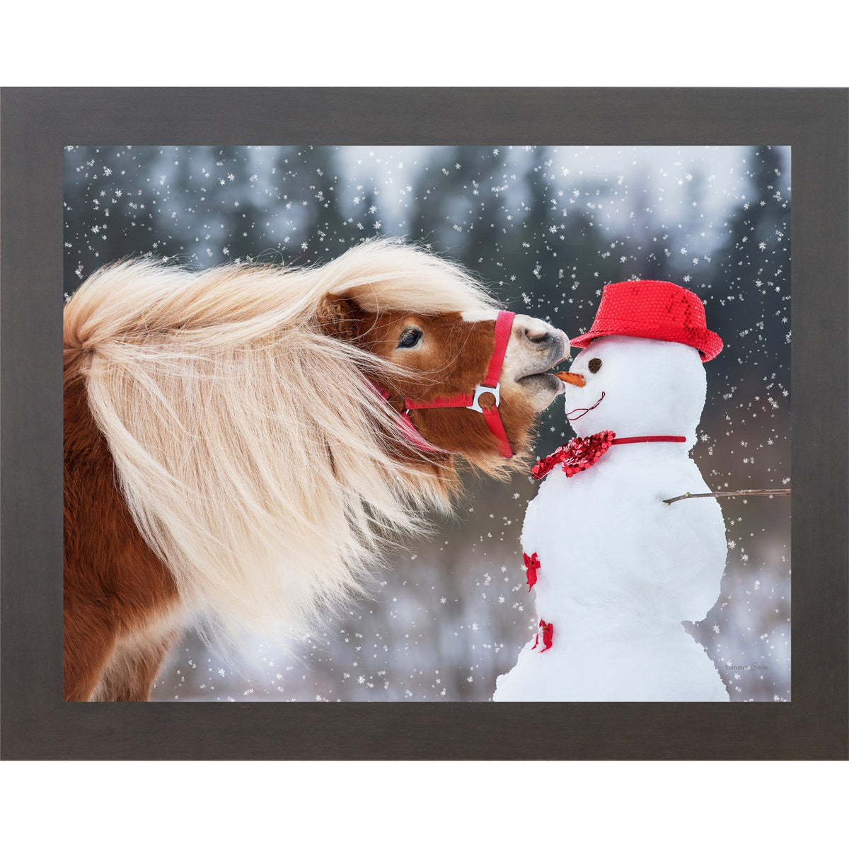 Can't Resist Wall Art – Haflinger Pony Snowman Christmas Humor Equine Framed Decor (SN338)