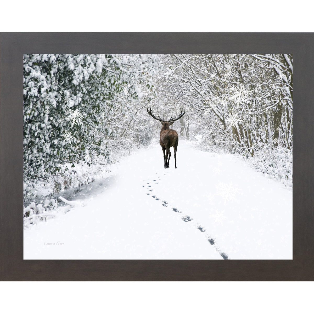 Snow Tracks Wall Art – Winter Stag In The Woods Landscape (SA426)
