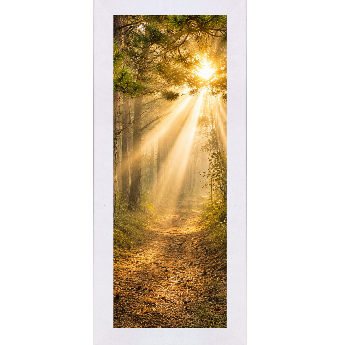 Forest Light Path Wall Art – Narrow Portrait Divine Sunlight Pine Decor (SB948)