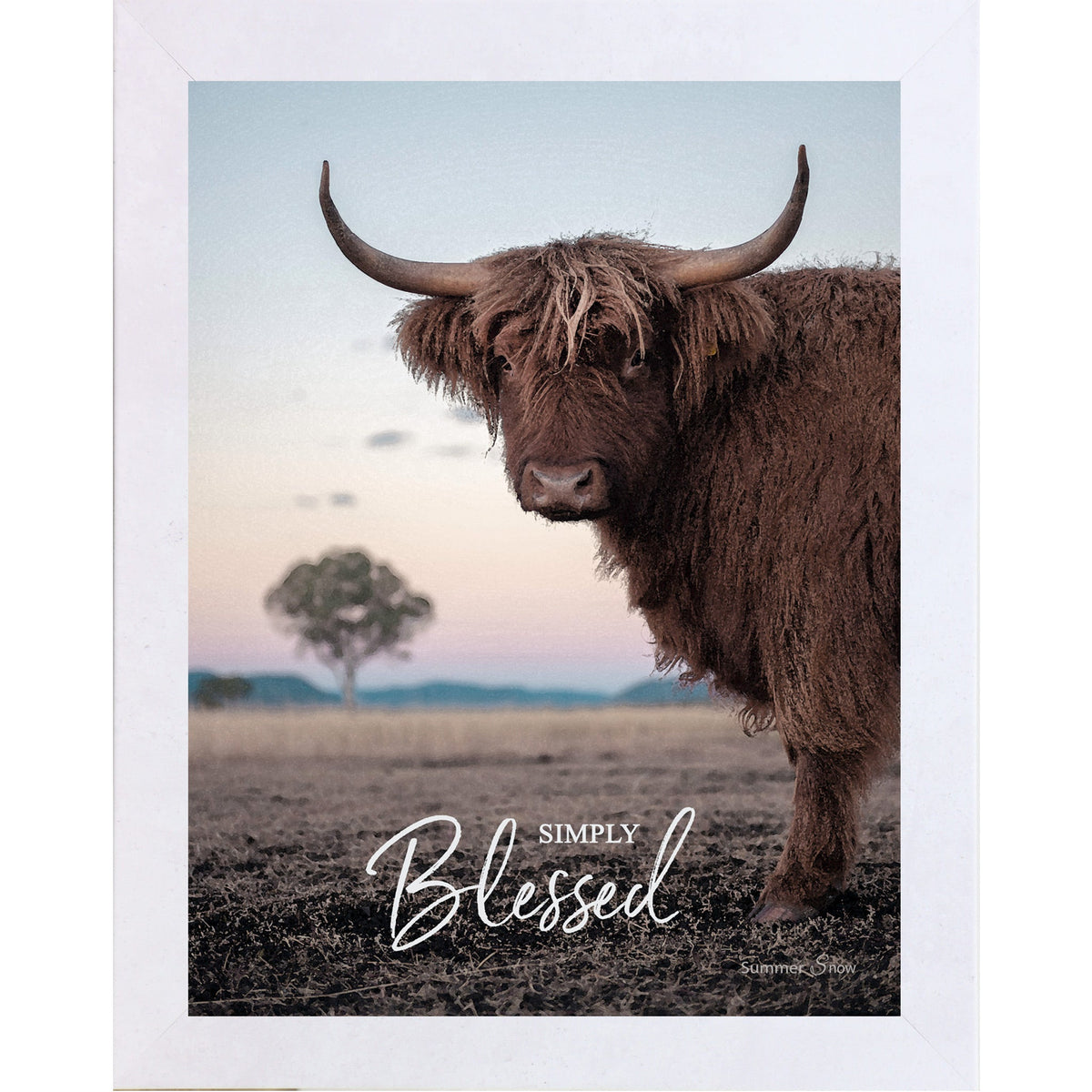 Simply Blessed Wall Art – Highland Cow Twilight Portrait Farmhouse Decor (SSW4)